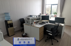 公司规模